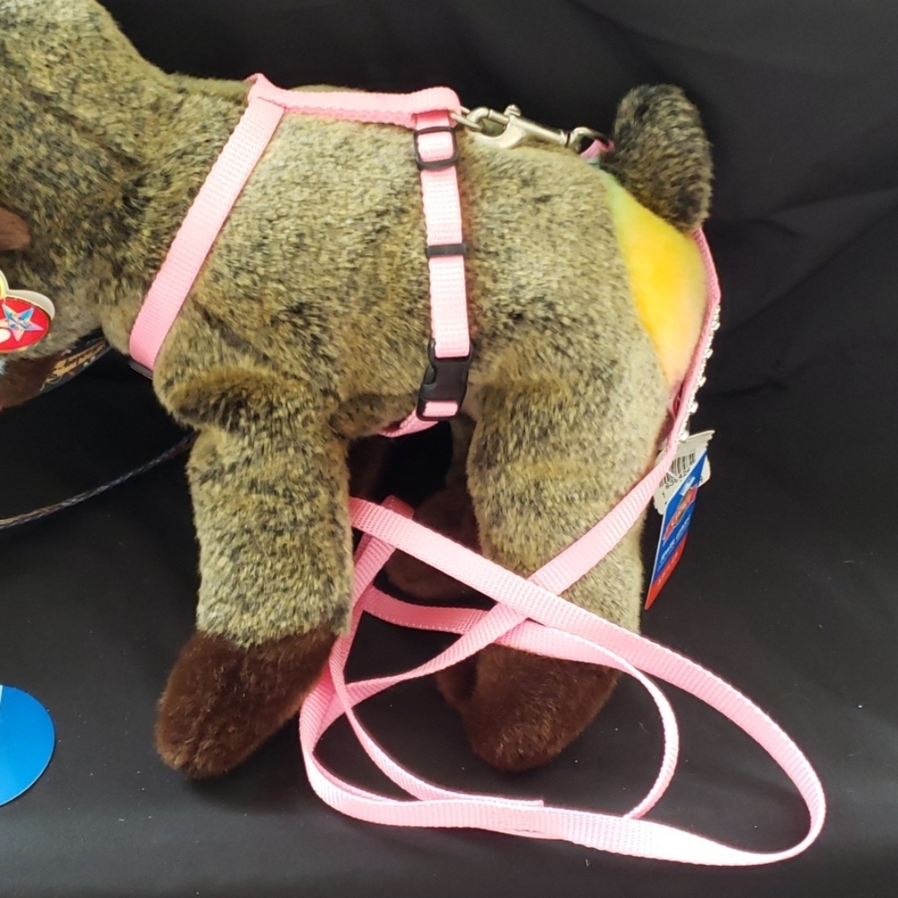 Harness and leash